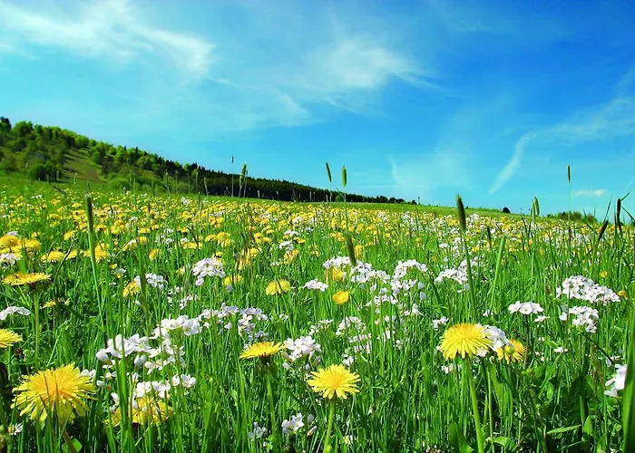 Aparthotel Jaegerhaus Willingen (Upland)